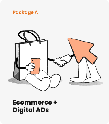 SME digitalisation package a for Ecommerce web Design and digital ads