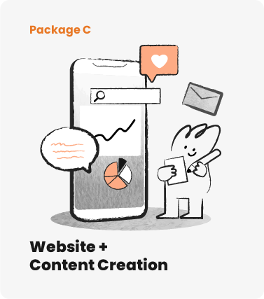 SME digitalisation package c for website design and content creation
