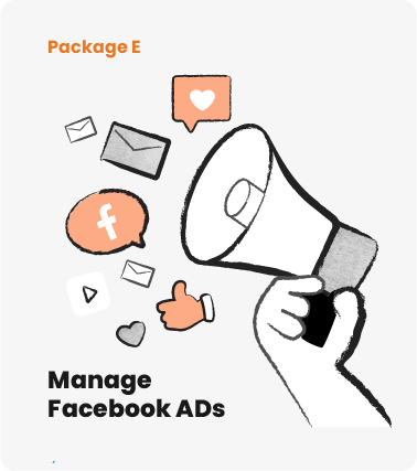 SME digitalisation package e to manager facebook ads