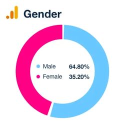 Website traffic tracking by gender